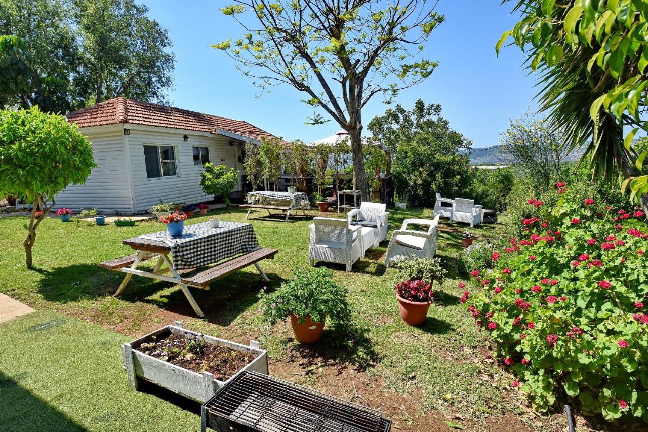 Biktot Nofim Villa Manot Kültér fotó
